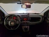  Fiat  Panda FIAT  / 2011 / 5P / BERLINA 1.2 69CV E6 EASY #3
