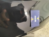  Volvo  V60 Volvo  T8 PHEV 4x4 Geartronic Inscription 5d #81