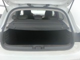  Renault  Clio Renault  Blue dCi 100 Evolution 5d !! zie comment !!  #14