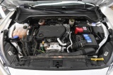  Ford  Focus  Turnier Cool & Connect 1.5 EcoBlue 88KW MT6 E6dT #19