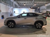  Lexus  NX LEXUS  / 2017 / 5P / SUV HYBRID F SPORT 4WD #8