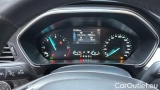  Ford  Focus 1.5 Ecoblue 120cv Bus. Cambio Autom. SW #13