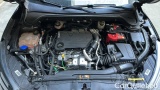  Ford  Focus 1.5 Ecoblue 120cv Bus. Cambio Autom. SW #15