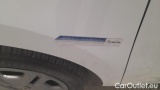  Mercedes  Citan 110 CDI Furgone Long #62