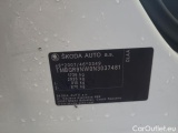  Skoda  KAMIQ -SUV (NW4) (2019)  1.0TSI 81 Akcni model #10