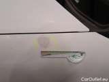  Fiat  Doblo FIAT DOBLÒ CARGO 2015 4 PORTE 1.3 MULTIJET 16V 90CV EU5+ SX #108