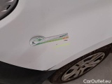  Fiat  Doblo FIAT DOBLÒ CARGO 2015 4 PORTE 1.3 MULTIJET 16V 90CV EU5+ SX #109
