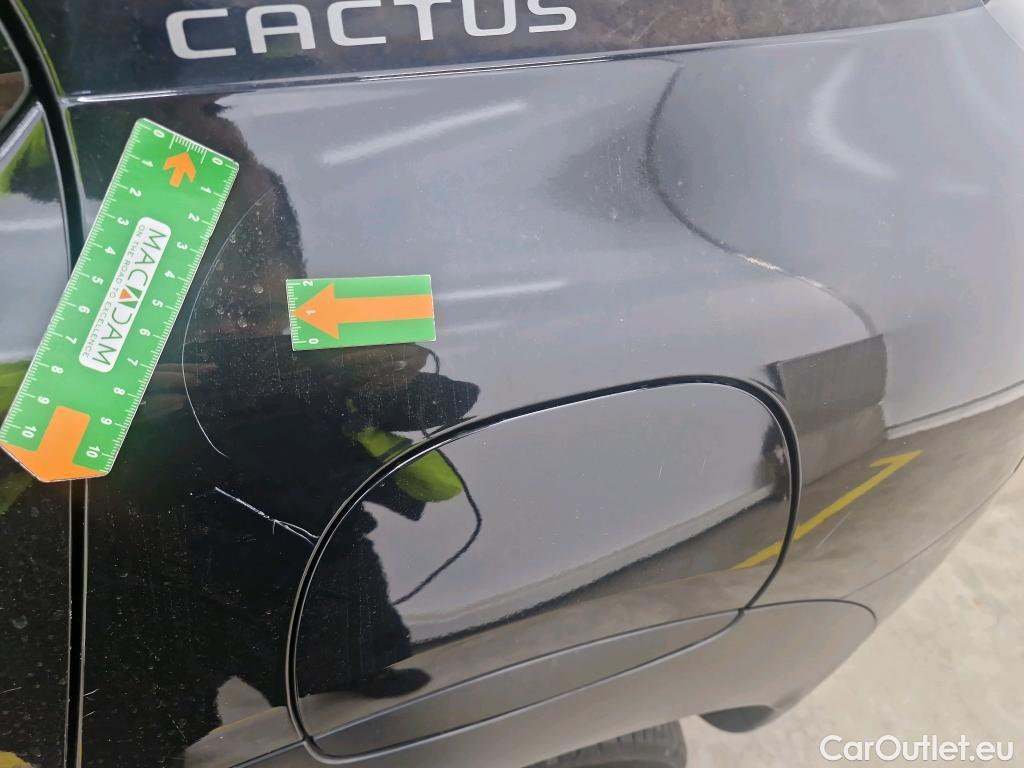  Citroen  C4 Cactus  Feel Business 1.5 BlueHDi 100CV BVM6 E6d #8