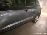  Skoda  Karoq 1.6 TDI 116 DSG7 BUSINESS #28