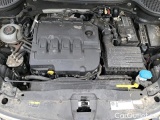  Skoda  Karoq 1.6 TDI 116 DSG7 BUSINESS #25