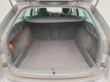 Skoda  Octavia Skoda,  Combi '20, Skoda  Combi 2.0 CRTDI 110kW DSG7 4x4 Cleve exs2i #10