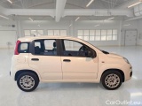  Fiat  Panda FIAT  / 2011 / 5P / BERLINA 1.2 69CV E6 EASY #7