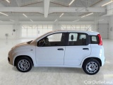  Fiat  Panda FIAT  / 2011 / 5P / BERLINA 1.2 69CV E6 EASY #8