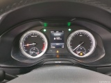  Skoda  Karoq  Business 1.6 TDI 115CV BVA7 E6dT #6