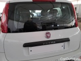  Fiat  Panda FIAT  2012 5 PORTE BERLINA 1.3 MJT 16V 75CV SeS 4X4 #89