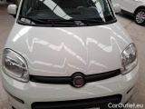  Fiat  Panda FIAT  2016 5P BERLINA 1.3 MJT 95CV SeS E6 4X4 #36