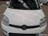  Fiat  Panda FIAT  2016 5P BERLINA 1.3 MJT 95CV SeS E6 4X4 #29