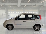  Fiat  Panda FIAT  2016 5P BERLINA 1.3 MJT 95CV SeS E6 EASY #8