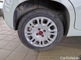  Fiat  Panda FIAT  2016 5P BERLINA 1.3 MJT 95CV SeS E6 EASY #18