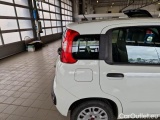  Fiat  Panda FIAT  2016 5P BERLINA 1.3 MJT 95CV SeS E6 EASY #62