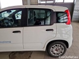  Fiat  Panda FIAT  2016 5P BERLINA 1.3 MJT 95CV SeS E6 EASY #75