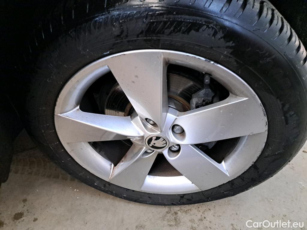  Skoda  Karoq  Business 1.6 TDI 115CV BVA7 E6dT #18