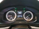  Skoda  Karoq  Business 1.6 TDI 115CV BVA7 E6dT #6