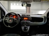  Fiat  Panda FIAT  / 2011 / 5P / BERLINA 1.2 69CV SeS E6D-TEMP EASY #3