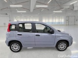  Fiat  Panda FIAT  / 2011 / 5P / BERLINA 1.2 69CV SeS E6D-TEMP EASY #7