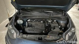  KIA  Sportage 1.6 CRDI MHYB 100KW BUSIN. CLASS DCT 2WD #15