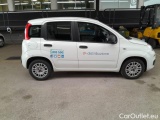  Fiat  Panda FIAT  2016 5P BERLINA 1.3 MJT 95CV SeS E6 EASY #7