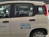  Fiat  Panda FIAT  2016 5P BERLINA 1.3 MJT 95CV SeS E6 EASY #59