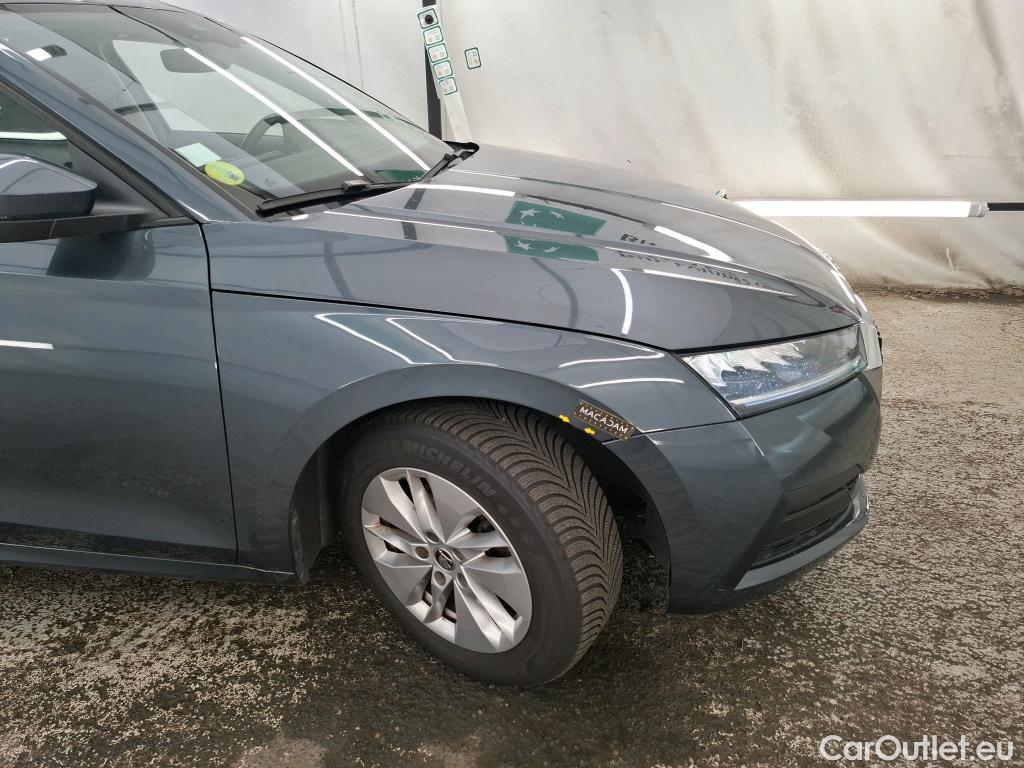  Skoda  Octavia  Break Business 2.0 TDI 115CV BVM6 E6d #18
