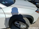  Lexus  UX 2.0 250H 2WD PACK CONFORT BUSINESS STAGE #60