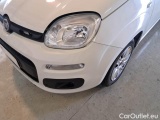  Fiat  Panda FIAT  / 2012 / 5P / BERLINA 1.3 MJT 80 CV VAN EURO6 SeS 4 POSTI EASY #29