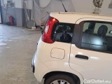 Fiat  Panda FIAT  / 2012 / 5P / BERLINA 1.3 MJT 80 CV VAN EURO6 SeS 4 POSTI EASY #43