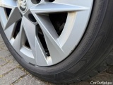  Skoda  Octavia  Combi First Edition 2.0 TDI 85KW MT6 E6dT #50