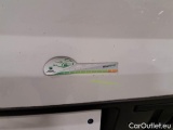  Fiat  Doblo FIAT DOBLÒ CARGO / 2014 / 4P / VETT. FURGONATA CH1 LOUNGE 1.3 MJET 95CV E6D SeS #61