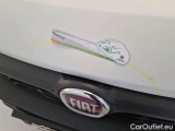  Fiat  Doblo FIAT DOBLÒ CARGO / 2014 / 4P / VETT. FURGONATA MAXI 1.3 MULTIJET 16V 95CV SX EURO 6 #25