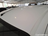  Mercedes  Citan MERCEDES-BENZ  / 2012 / 4P / VETT. FURGONATA 109CDI FURGONE LONG #20
