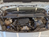  Ford  Transit Connect  Kasten Trend 1.5 EcoBlue 88KW MT6 E6dT #17