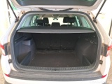  Skoda  Kodiaq  Business 2.0 TDI 150CV BVA7 E6dT #10