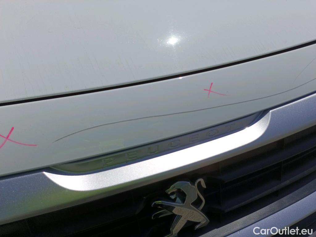  Peugeot  Partner  Tepee Access 1.6 HDi 75CV MT5 E6 #43