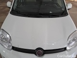  Fiat  Panda FIAT  2012 5 PORTE BERLINA 1.3 MJT 16V 75CV SeS 4X4 #29