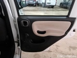  Fiat  Panda FIAT  2012 5 PORTE BERLINA 1.3 MJT 16V 75CV SeS 4X4 #112
