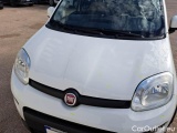  Fiat  Panda FIAT  2016 5P BERLINA 1.3 MJT 95CV SeS E6 4X4 #45