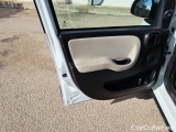  Fiat  Panda FIAT  2016 5P BERLINA 1.3 MJT 95CV SeS E6 4X4 #126