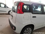  Fiat  Panda FIAT  2012 5 PORTE BERLINA 1.3 MJT 16V 75CV SeS POP #51