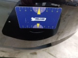  Tesla  Model 3 Tesla  Standard RWD Plus 4d #41
