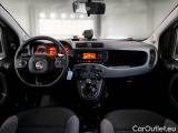  Fiat  Panda FIAT  / 2011 / 5P / BERLINA 1.3 MJT 95CV SeS E6 4X4 #3